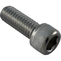 Screw, Pentair Sta-Rite, 3/8-16 x 1", Socket 35-102-1131