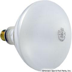 Replacement Bulb, American Products, 115v, 500w 57-110-1144