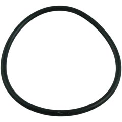 O-Ring, Pentair Sta-Rite, Union, O-244 89-102-1017